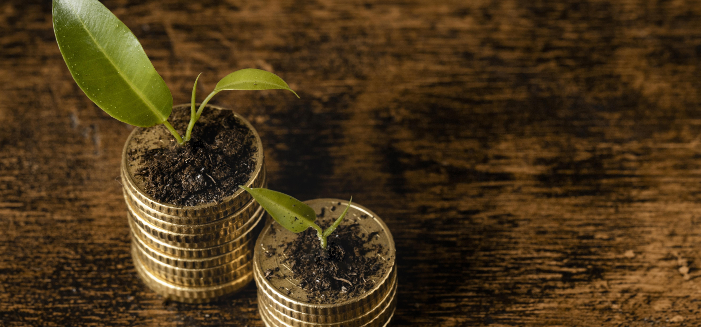  Saiba como escolher produtos de investimento sustentável